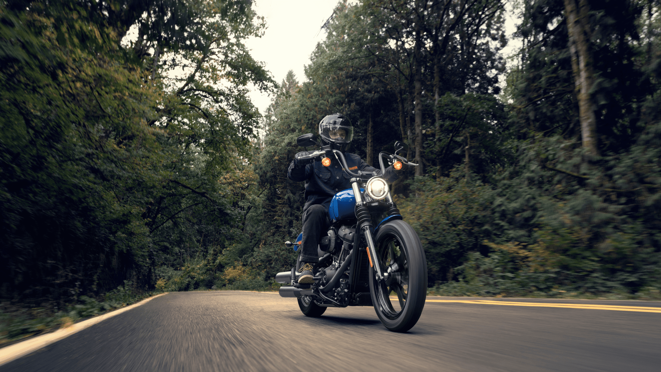 The 2024 Harley-Davidson® Street Bob® 114 near Fort Piece, FL